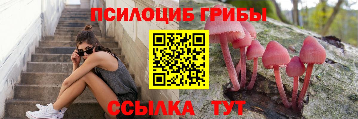 Бахчисарай  Псилоцибиновые грибы Psilocybine cubensis  цены   Вход с VPN 