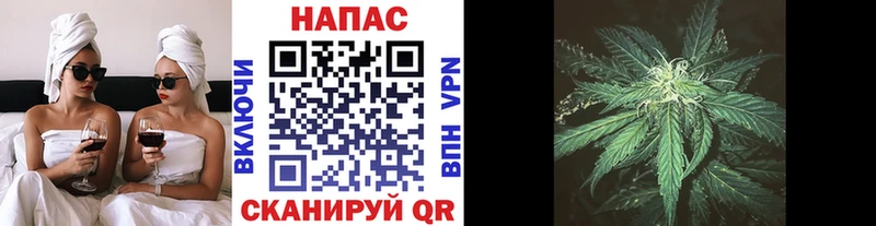 kraken рабочий сайт  Бахчисарай  Каннабис индика 